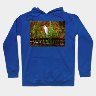 Balancing act Hoodie